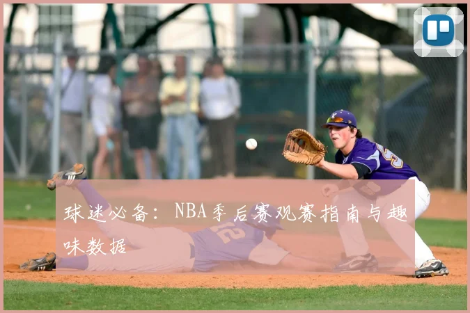 球迷必备：NBA季后赛观赛指南与趣味数据