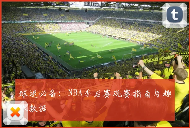 球迷必备：NBA季后赛观赛指南与趣味数据