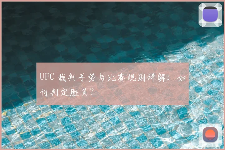 UFC 裁判手势与比赛规则详解：如何判定胜负？
