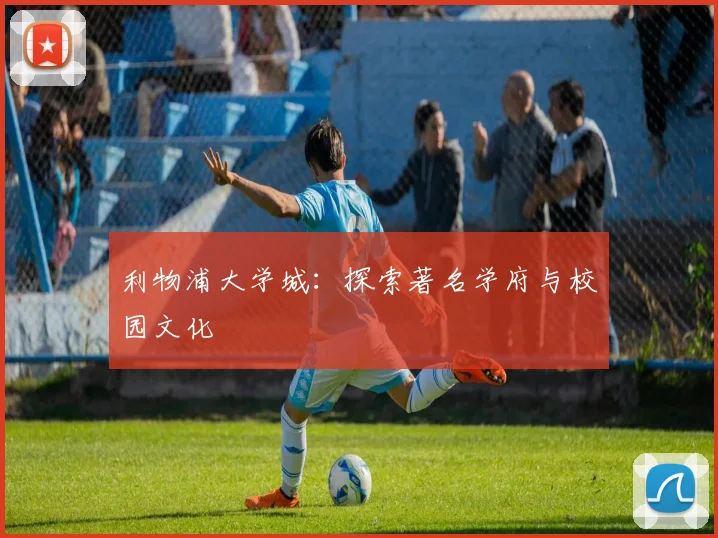 利物浦大学城：探索著名学府与校园文化