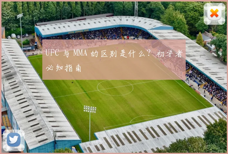 UFC 与 MMA 的区别是什么？初学者必知指南