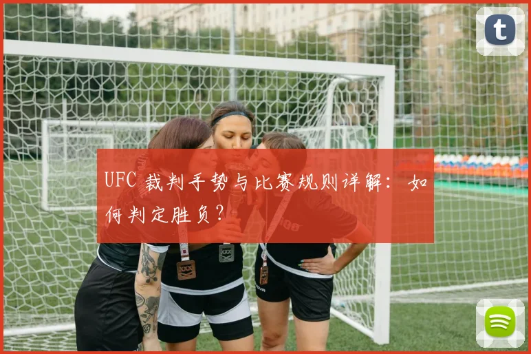UFC 裁判手势与比赛规则详解：如何判定胜负？
