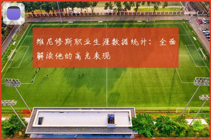维尼修斯职业生涯数据统计：全面解读他的高光表现