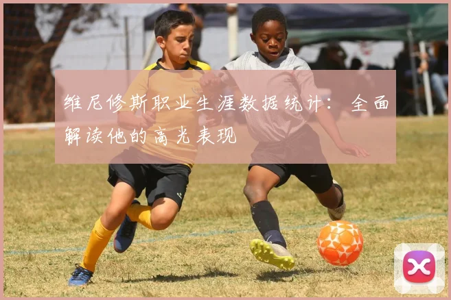 维尼修斯职业生涯数据统计：全面解读他的高光表现
